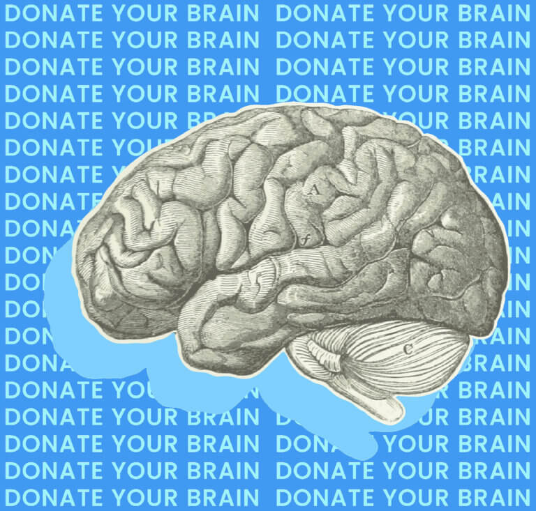 Image of illustrated brain over top of text that reads donate your brain, repeating